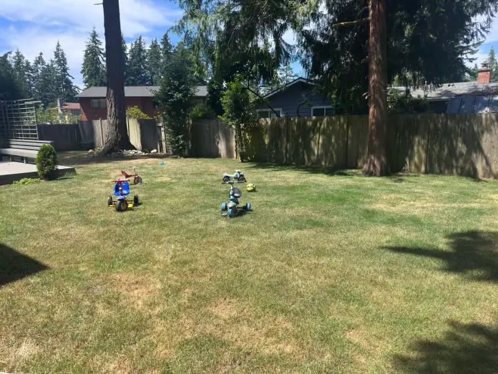 Secure fenced backyard where children ride tricycles at the Lynnwood home daycare